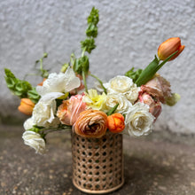 Load image into Gallery viewer, Creamsicle