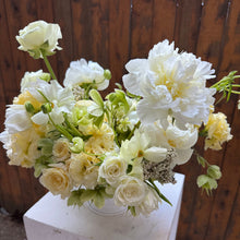 Load image into Gallery viewer, Lemon Merengue Small