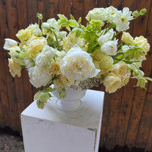 Load image into Gallery viewer, Lemon Merenge Large