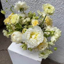 Load image into Gallery viewer, Lemon Merengue Small