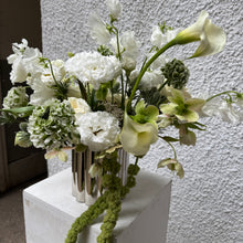 Load image into Gallery viewer, Silver Elegance