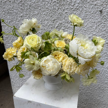 Load image into Gallery viewer, Lemon Merengue Small