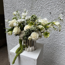 Load image into Gallery viewer, Silver Elegance
