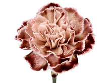 Load image into Gallery viewer, Thanksgiving Bouquet Petite