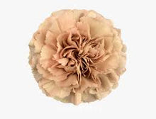 Load image into Gallery viewer, Thanksgiving Bouquet Petite