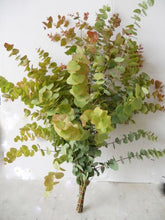 Load image into Gallery viewer, Thanksgiving Bouquet Grande